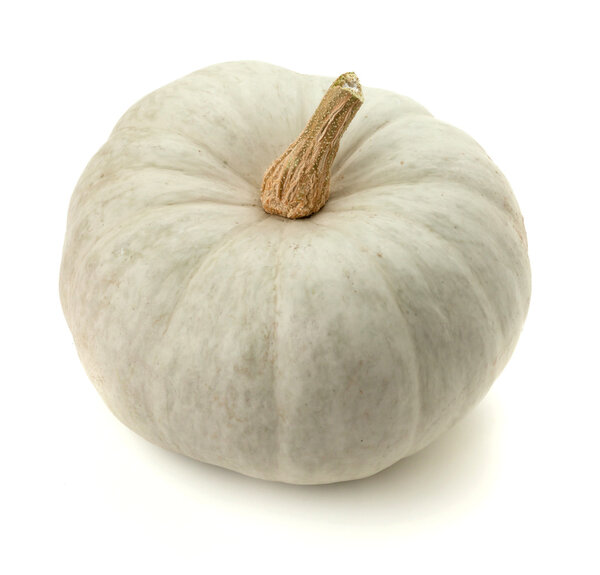 Small white pumpkin