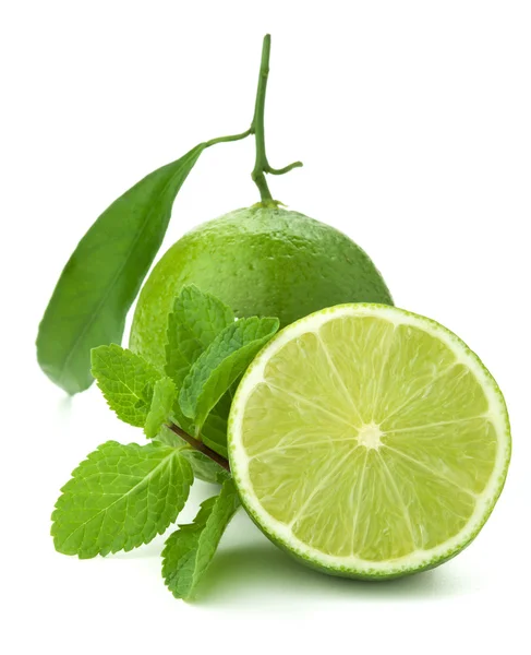 Ripe lime and mint — Stock Photo, Image