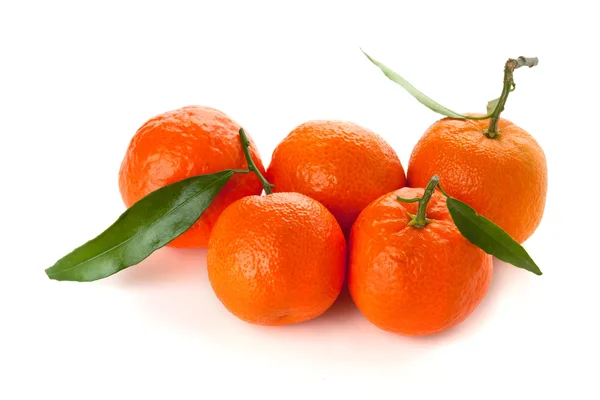 Five ripe tangerines — Stock Photo, Image
