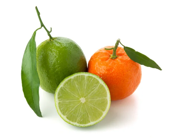 Limety Mandarinka Izolované Bílém Pozadí — Stock fotografie