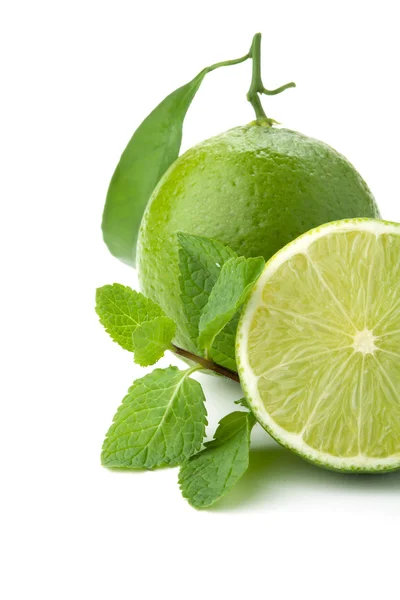 Ripe Lime Green Leaf Mint Closeup Isolated White — Stock Photo, Image