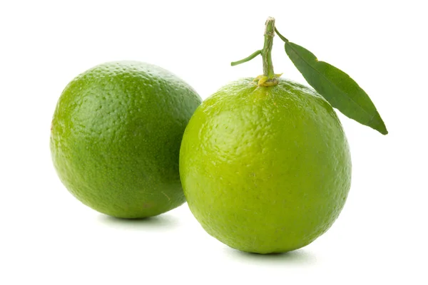 Dvě Zralé Citrusy List Izolované Bílém — Stock fotografie