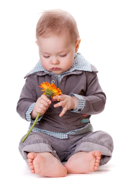 Small baby and orange flower — Stock Photo, Image