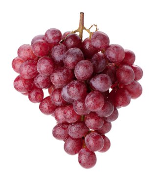 Fresh red grapes branch clipart