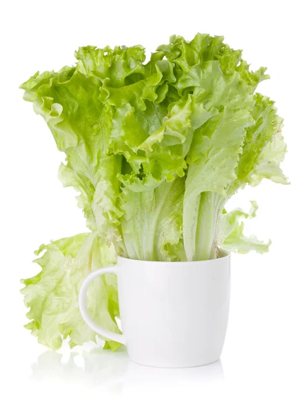 Салат из свежего зеленого салата в чашке — стоковое фото