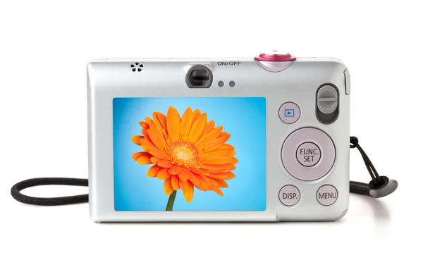 Digitální fotoaparát s květem na displeji — Stock fotografie