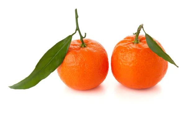 Два стиглі мандаринами — стокове фото