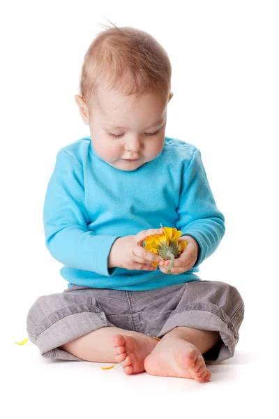 Kleines Baby berührt gelbe Blume — Stockfoto
