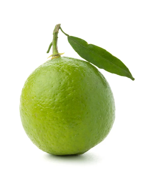 Спелый лайм с зеленым листом — стоковое фото