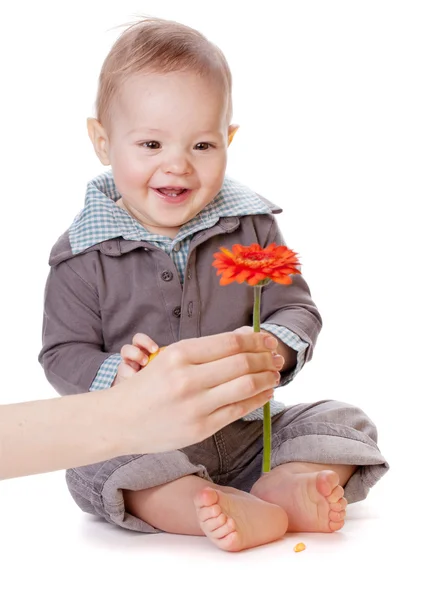 Kleines Baby auf roter Blume — Stockfoto