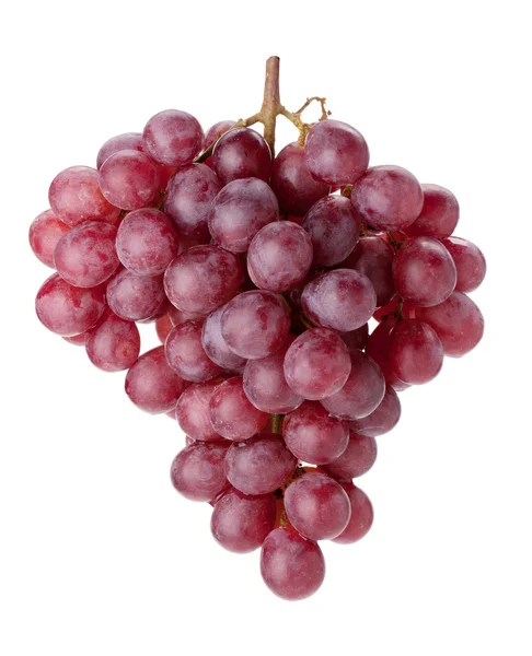 stock image Fresh red grapes branch