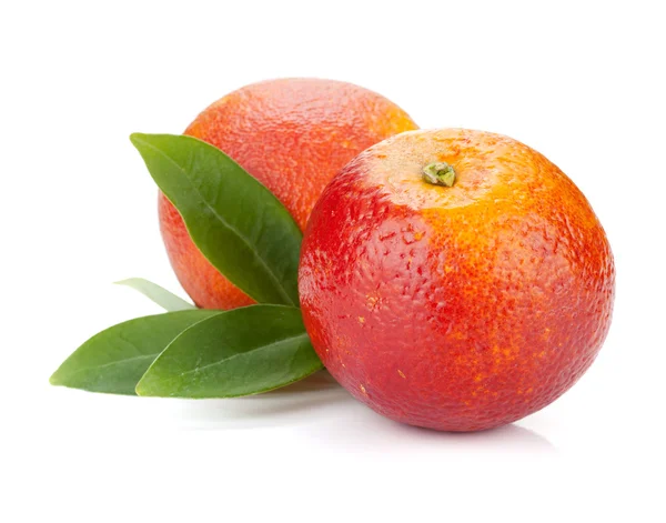 Két vörös narancs — Stock Fotó