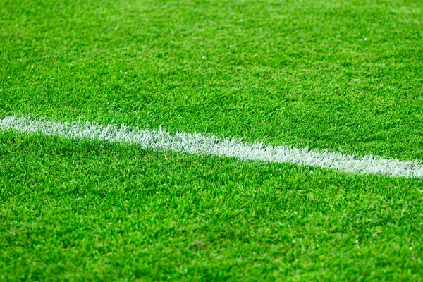 Witte lijn op een voetbal veld gras — Stockfoto