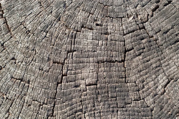 Старая текстура — стоковое фото