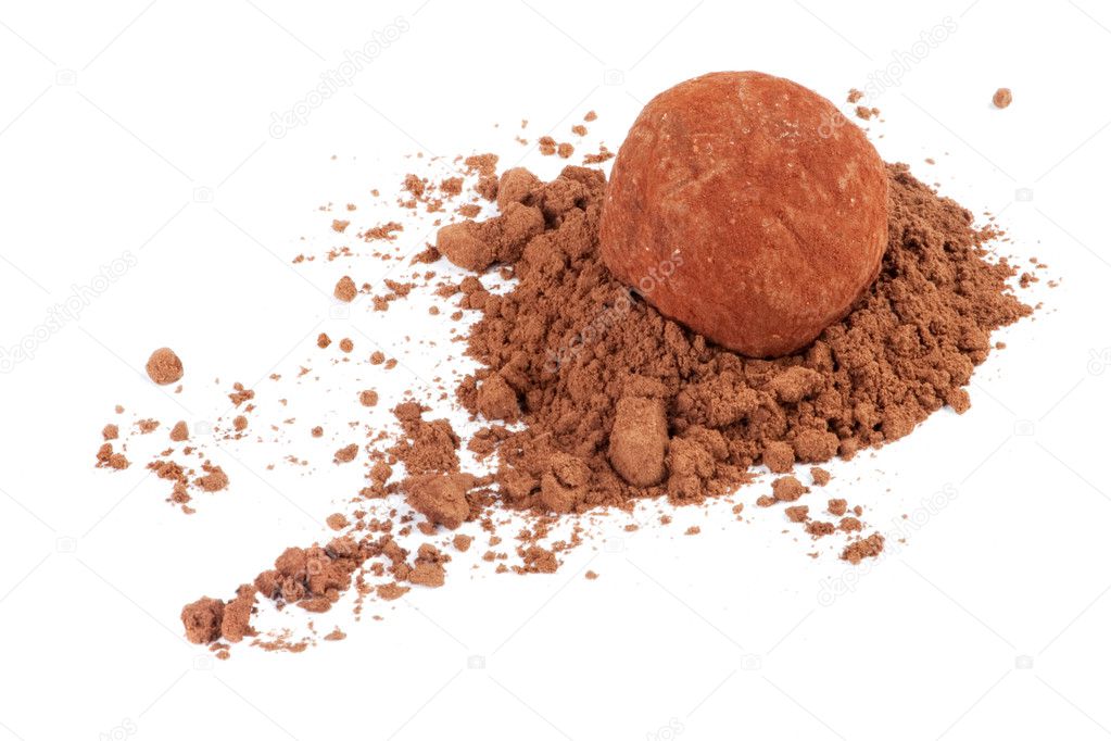 Chocolate truffle candy in cocoa powder isolated on white