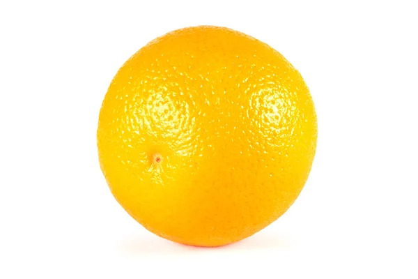 Une orange isolée sur fond blanc — Photo