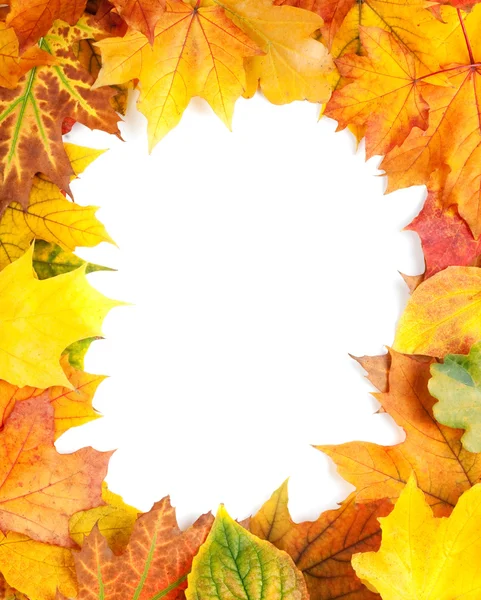 Folhas de outono amarelas isoladas em branco — Fotografia de Stock