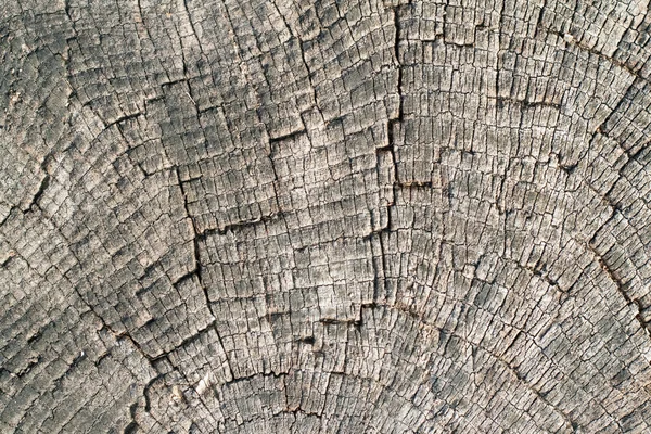 Staré dřevo řezané textury — Stock fotografie