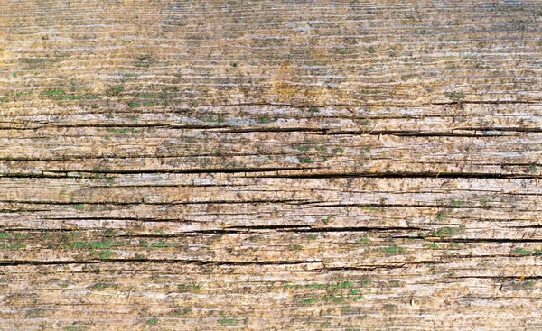 Antiguo fondo de madera agrietada —  Fotos de Stock