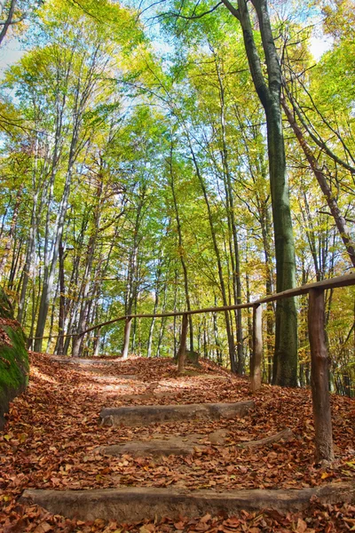 Ξύλινη σκάλα σε ένα λόφο σε ένα φθινοπωρινό δάσος — Φωτογραφία Αρχείου