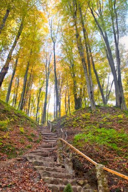 bir sonbahar gecesi forest Hill'de merdivende