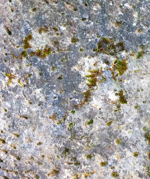 風化のコケむした石の背景 — ストック写真