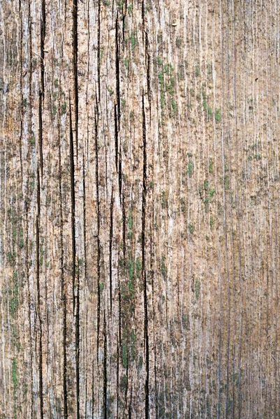 Textura de madeira rachada velha — Fotografia de Stock
