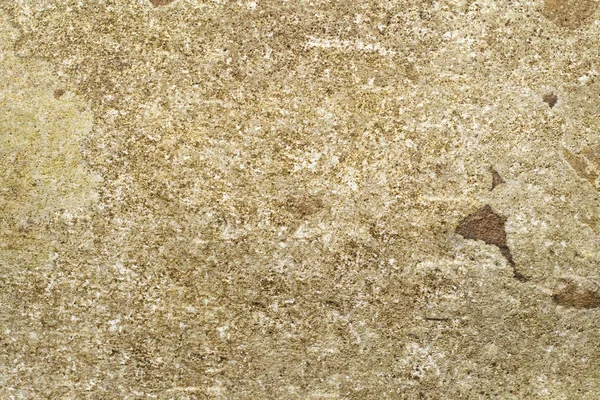Old mossy stone background — Stock Photo, Image
