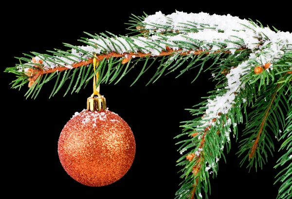 Golden ball on a Christmas tree branch isolated on black — Stock Photo, Image
