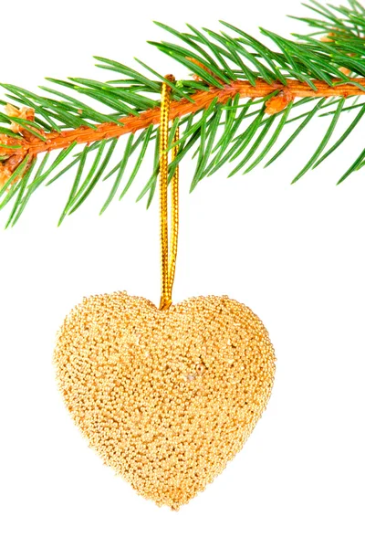 Corazón de Navidad chuchería en una rama de pino aislado en blanco — Foto de Stock
