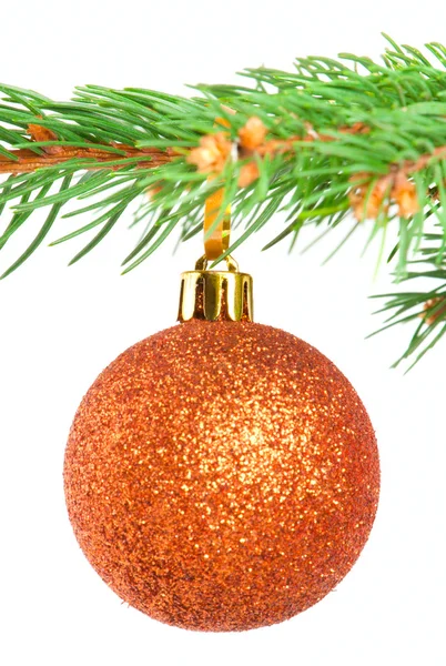 Christmas ball on a fir tree branch isolated on white — Stock Photo, Image
