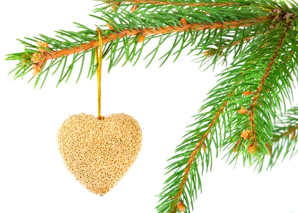 Vánoční cetka na has strom větev izolovaných na bílém — Stock fotografie