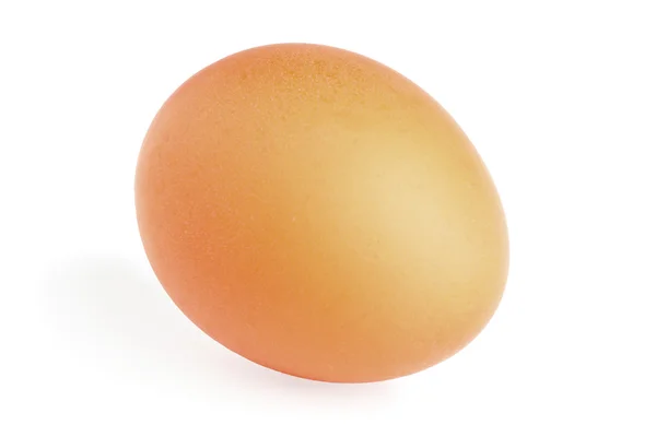 Brun ägg isolerad på vit bakgrund — Stockfoto