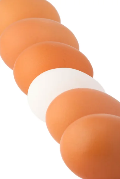 Białe jajko wśród brązowe jaja na białym tle — Zdjęcie stockowe