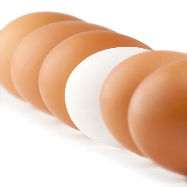 Белое яйцо среди коричневых яиц — стоковое фото