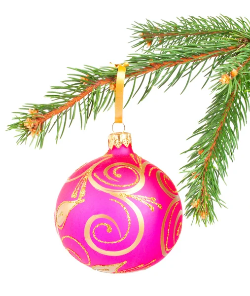 Χριστουγεννιάτικη μπάλα σε ένα έλατο δέντρο υποκατάστημα που απομονώνονται σε λευκό — Φωτογραφία Αρχείου