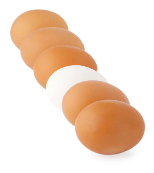 Одно белое яйцо среди коричневых яиц — стоковое фото
