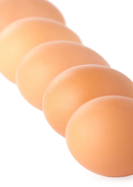 Línea de huevos marrones aislados en blanco —  Fotos de Stock