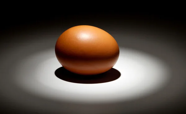 Светлое яйцо в темноте — стоковое фото