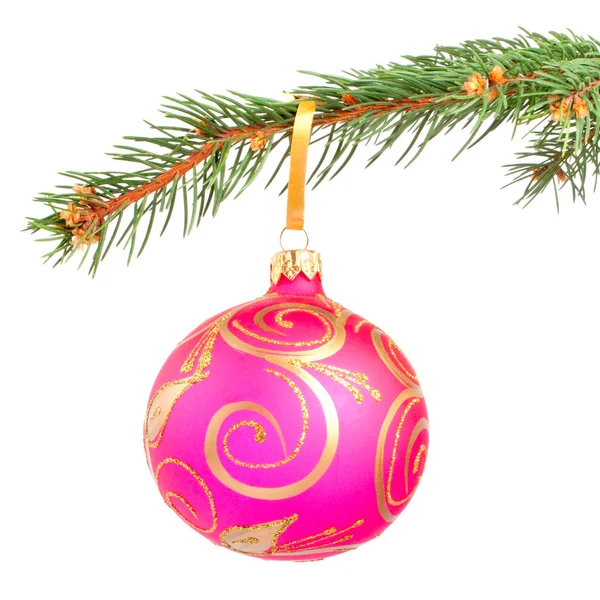Bola de Natal em um ramo de pinheiro — Fotografia de Stock