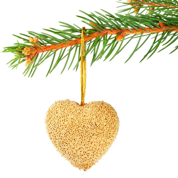 Coração de Natal bugiganga em um ramo de pinheiro — Fotografia de Stock