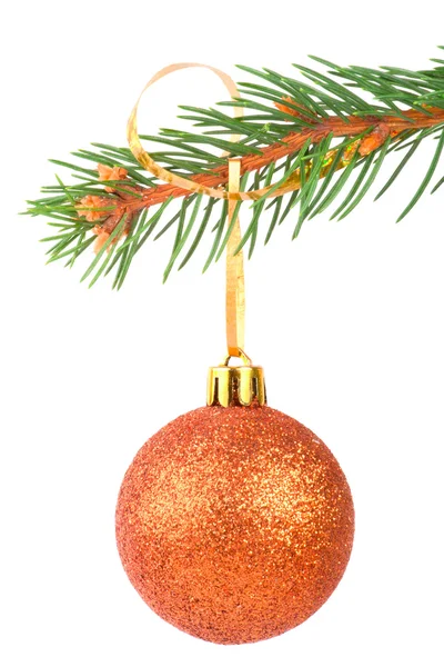 Χριστουγεννιάτικη μπάλα σε ένα υποκατάστημα δέντρο έλατου σε άσπρο φόντο — Φωτογραφία Αρχείου