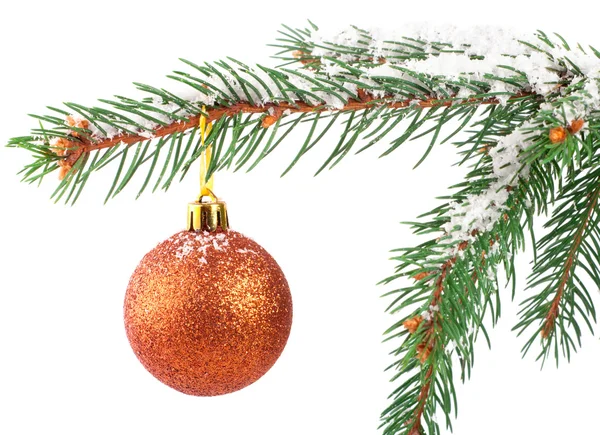 Golden Christmas bauble on a snowy pine tree branch — Stock Photo, Image