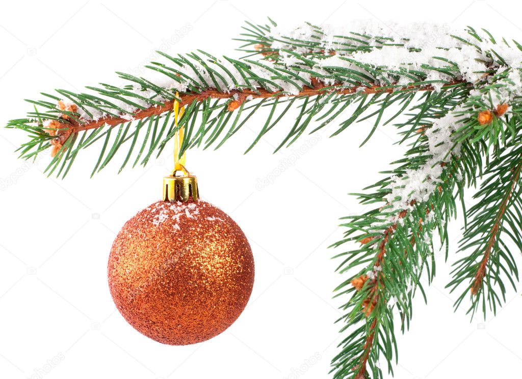 Golden Christmas bauble on a snowy pine tree branch