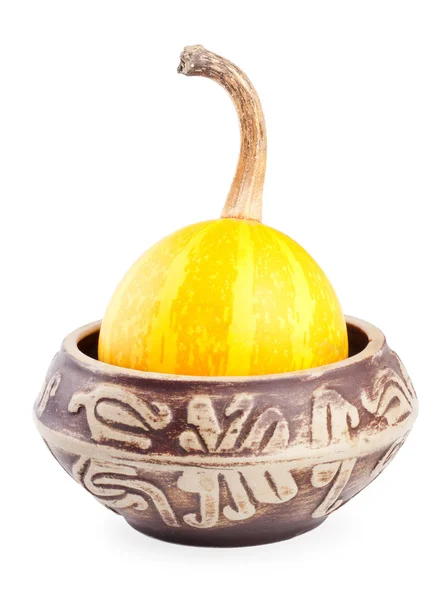 Pequena abóbora decorativa em uma tigela de cerâmica — Fotografia de Stock