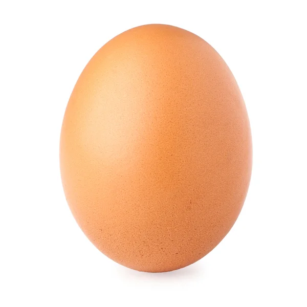 Brown egg on white background — Stock Photo, Image
