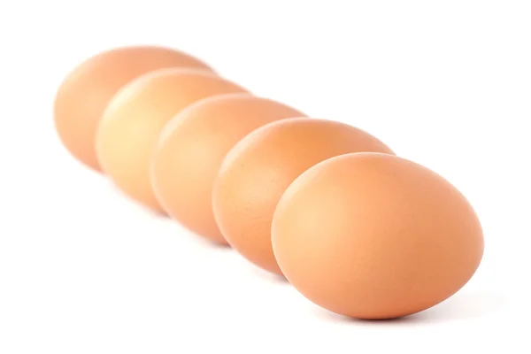 Linia brązowe jaja na białym tle — Zdjęcie stockowe