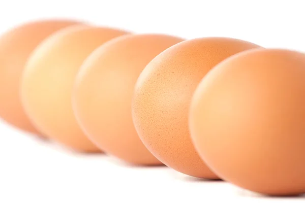 Коричневые яйца в линии на белом фоне — стоковое фото
