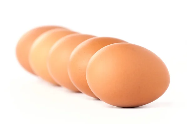 Línea de huevos marrones sobre fondo blanco —  Fotos de Stock