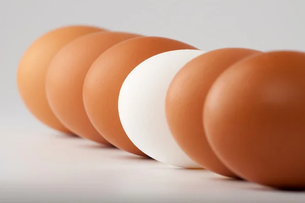 White Egg Brown Ones Line — Stock Photo, Image